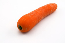 carrot