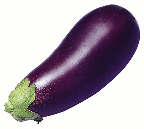 eggplant