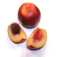 nectarine