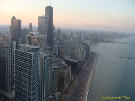 Chicago skyline view