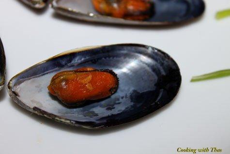 Mussel fry