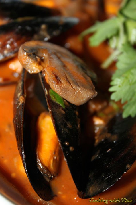 Mussel mushroom