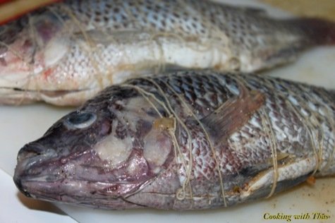 Shrimp stuffed Tilapia