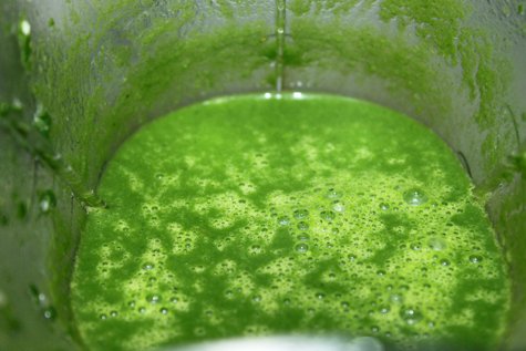 pureed spinach soup