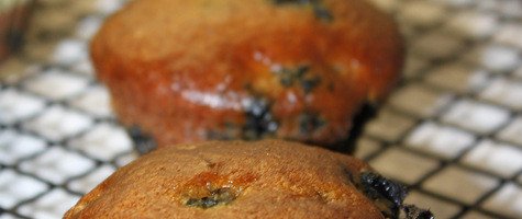 Lemony Chicken- Guest Post